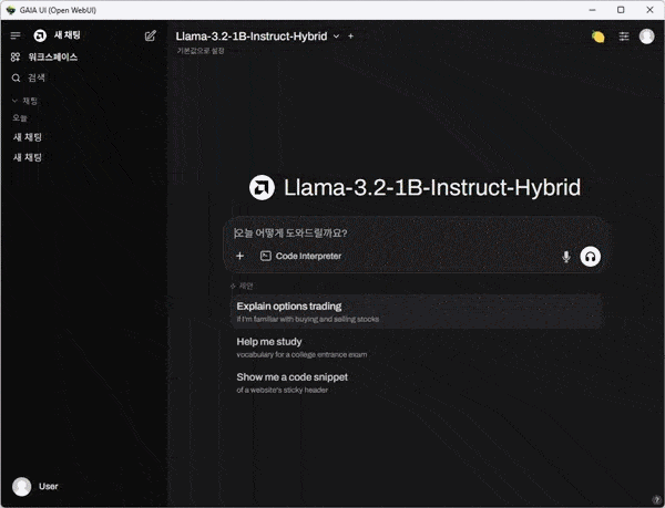 AMD가 개발한 오픈 소스 생성형 AI 애플리케이션인 'AMD GAIA'를 이용하면 로컬(오프라인) 환경에서 대형 언어 모델(LLM)을 실행할 수 있다.