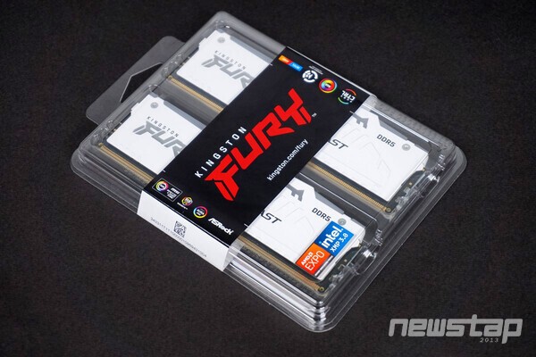 킹스톤 FURY DDR5-6000 CL30 Beast RGB 화이트 패키지 코잇 (32GB(16Gx2))