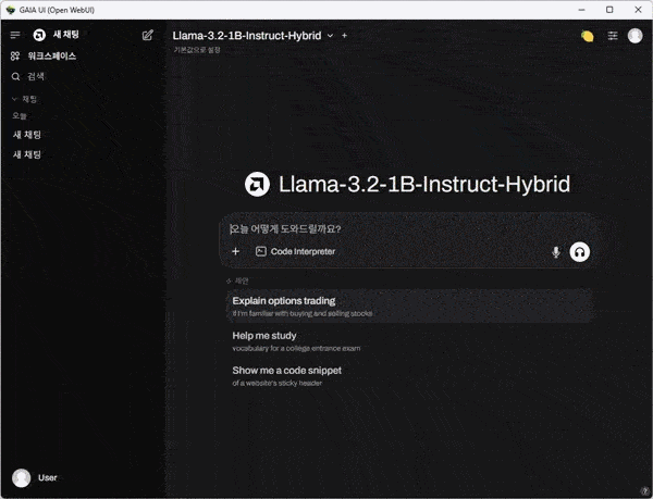 AMD가 개발한 오픈 소스 생성형 AI 애플리케이션인 'AMD GAIA'를 이용하면 로컬(오프라인) 환경에서 대형 언어 모델(LLM)을 실행할 수 있다.