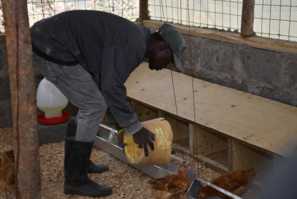 BBQ가 본사와 가맹점의 참여형 사회공헌활동인 ‘아이러브아프리카’를 통해 누적 기부액 26억원을 지원했다. ‘아이러브아프리카’ 활동으로 케냐 카지아도 카운티 노레텟 초등학교와 노레텟 중학교에 만들어진 ‘BBQ 치킨 농장&자립 캠프’인 실증 체험 농장 모습